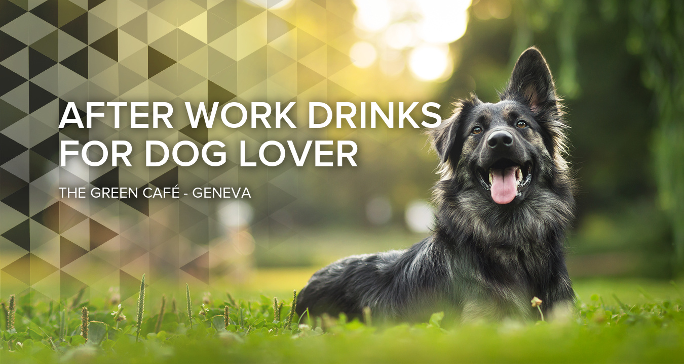 After-work drinks for dog lovers